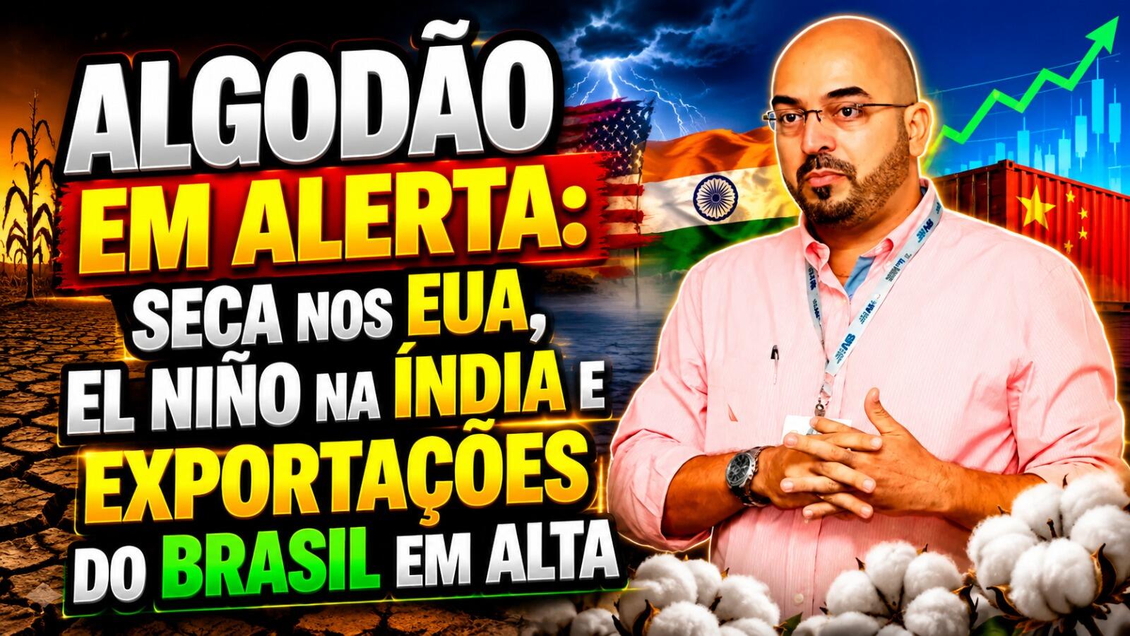 Algodão em alerta: seca nos EUA, El Niño na Índia e exportações do Brasil em alta