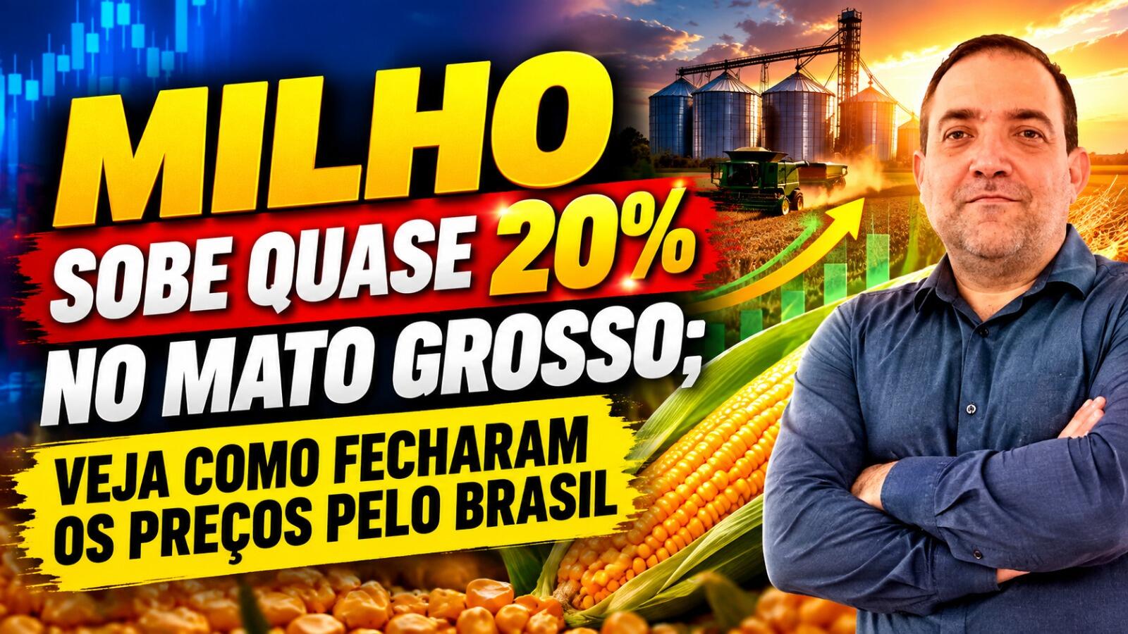 Tombo do milho antes do feriado: hora de preocupar ou apenas ajuste?