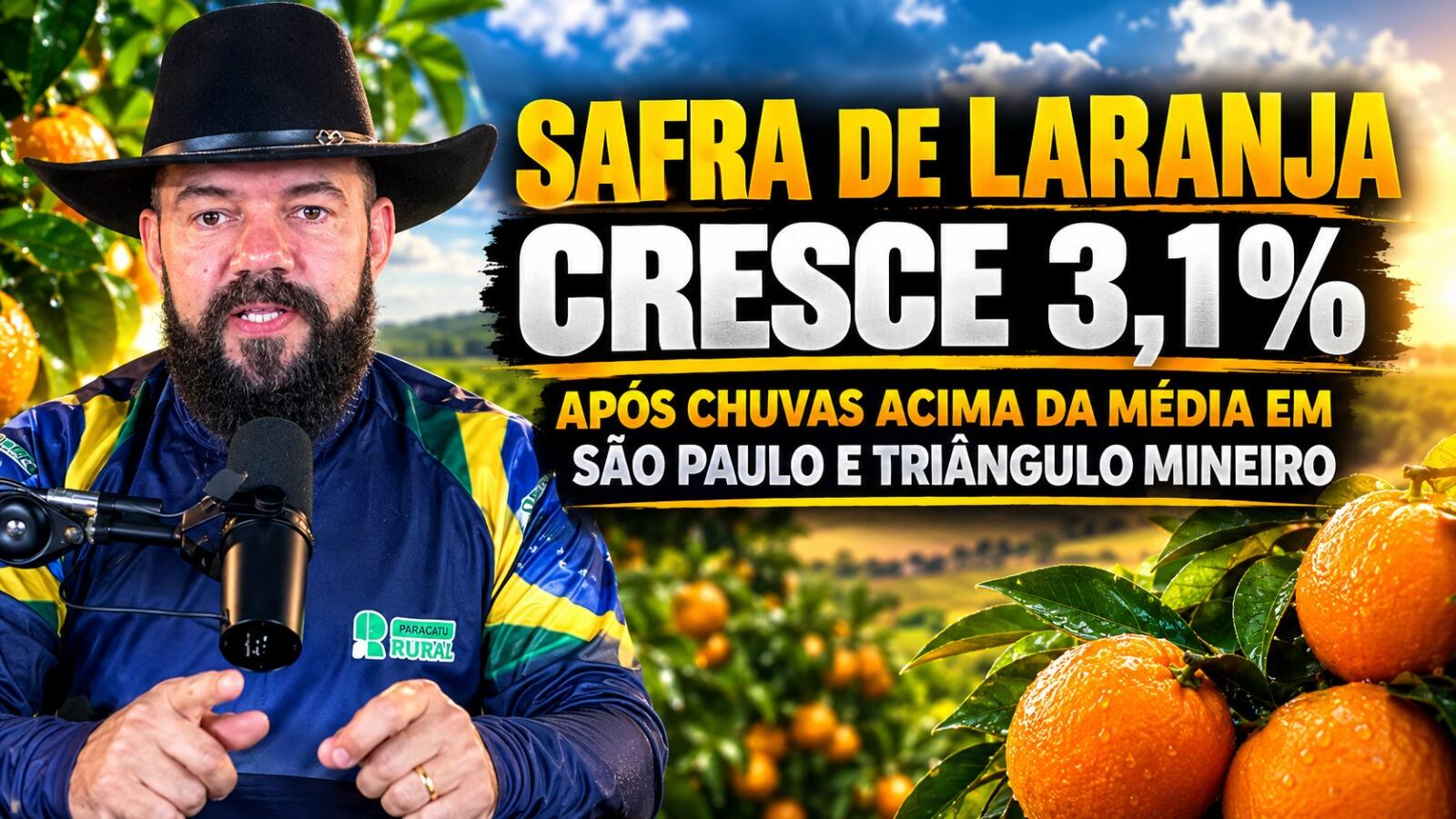 Safra de laranja cresce 3,1% após chuvas acima da média em São Paulo e Triângulo Mineiro