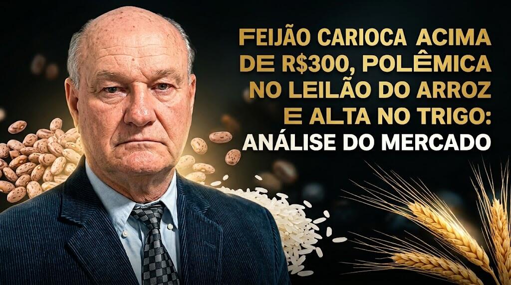 Feijão Carioca Acima de R$300, Polêmica no Leilão do Arroz e Alta no Trigo: Análise do Mercado.