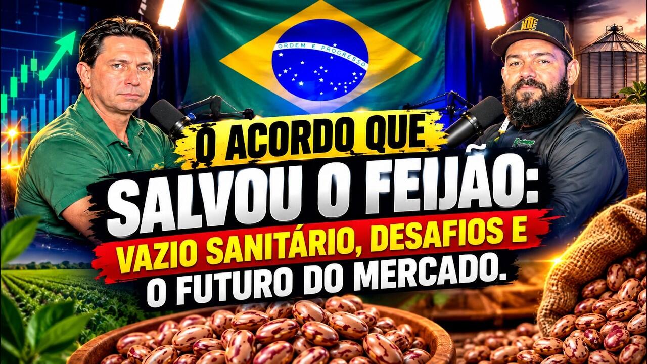 O Acordo que Salvou o Feijão: Vazio Sanitário, Desafios e o Futuro do Mercado