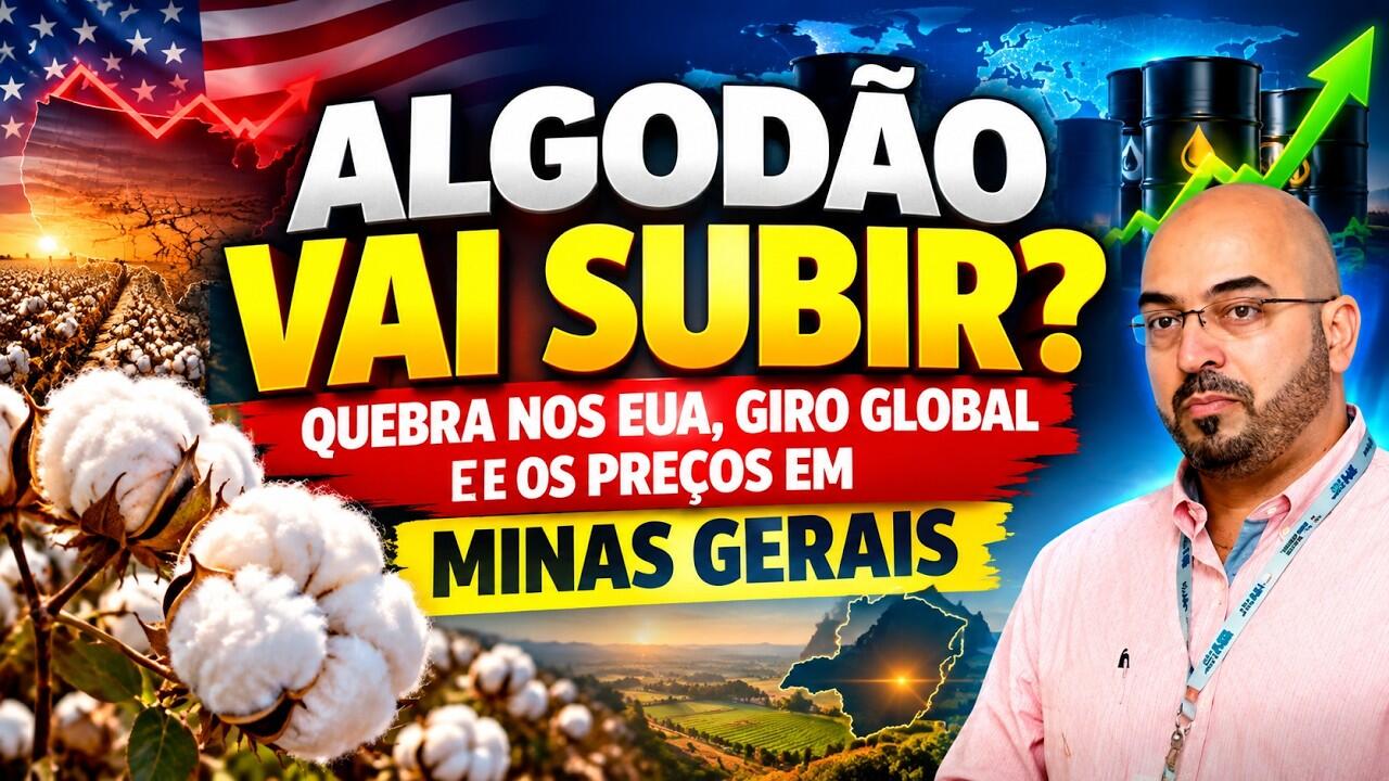 Algodão Vai Subir? Quebra nos EUA, Giro Global e os Preços em Minas Gerais