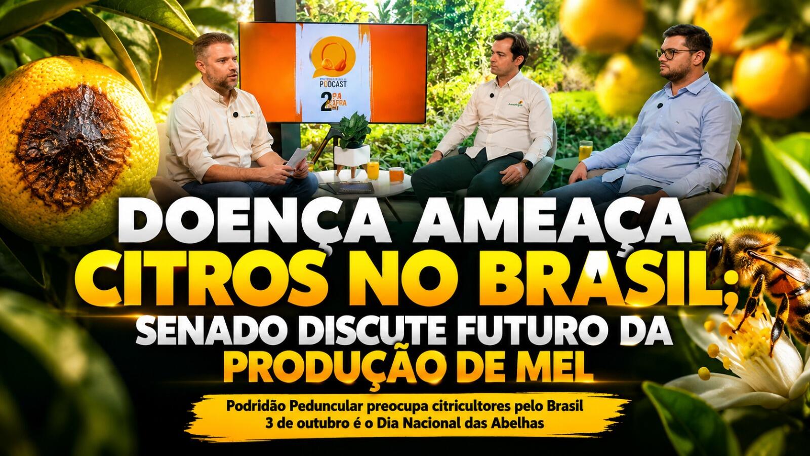 Doença Ameaça Citros no Brasil; Senado Discute Futuro da Produção de Mel.