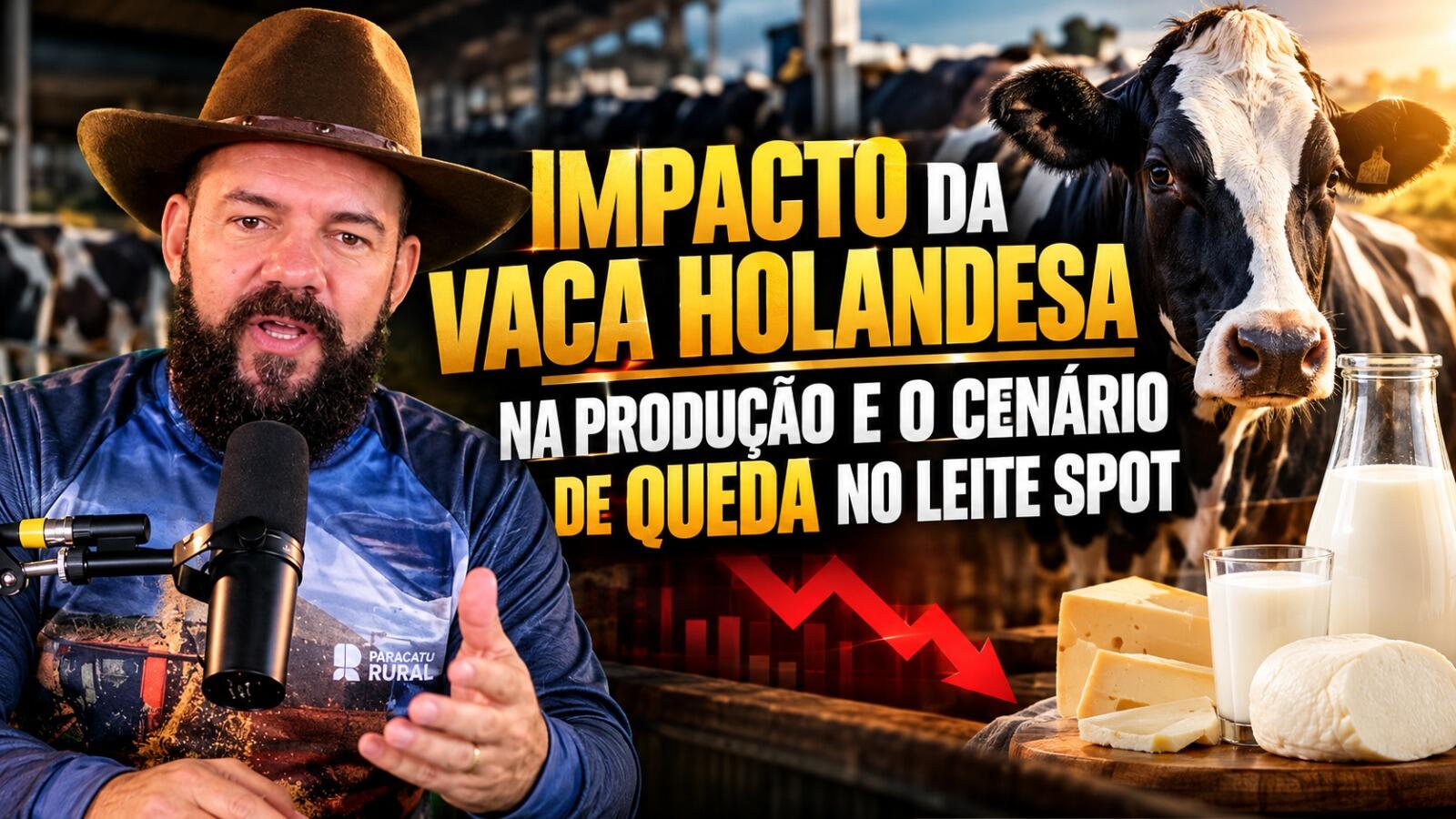 O Impacto da Vaca Holandesa na Produção e o Cenário de Queda no Leite Spot