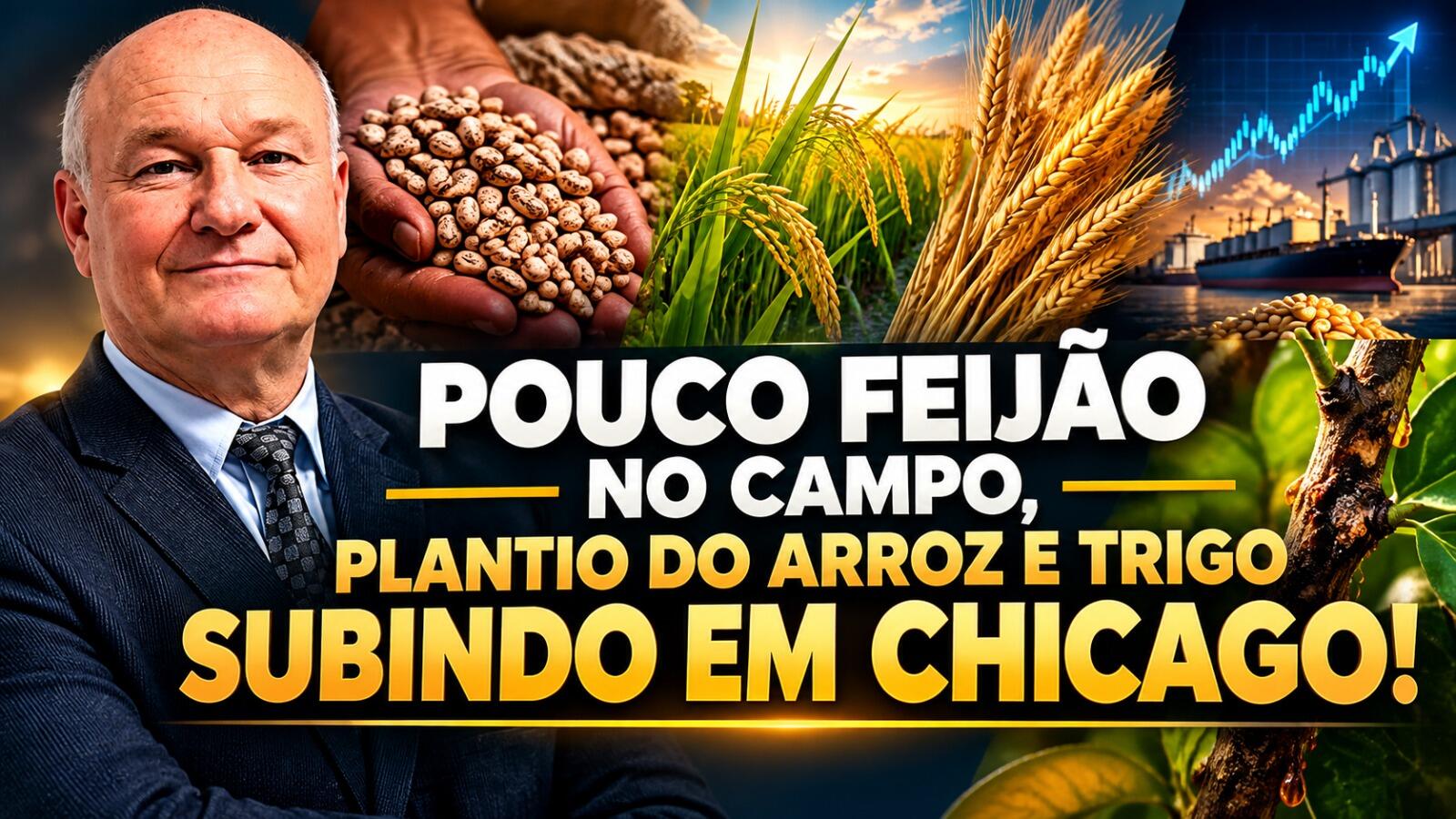 Pouco Feijão no Campo, Plantio do Arroz e Trigo Subindo em Chicago!
