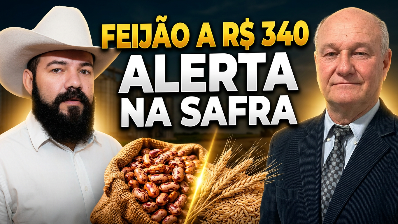 O que está impulsionando o feijão a R$340, as cotações do arroz e a quebra de safra no trigo!