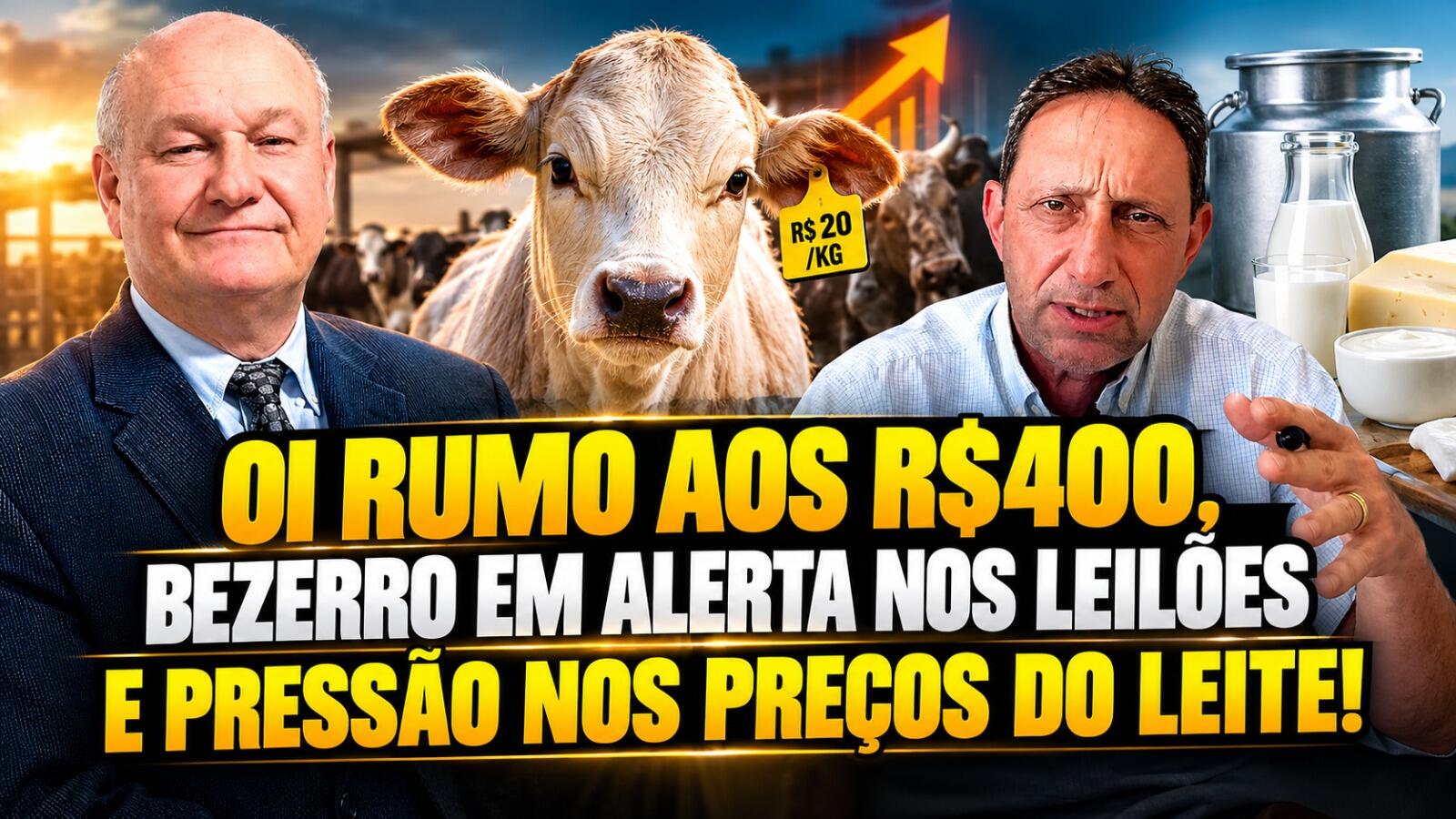 Boi Rumo aos R$400, Bezerro em Alerta nos Leilões e Pressão nos Preços do Leite!
