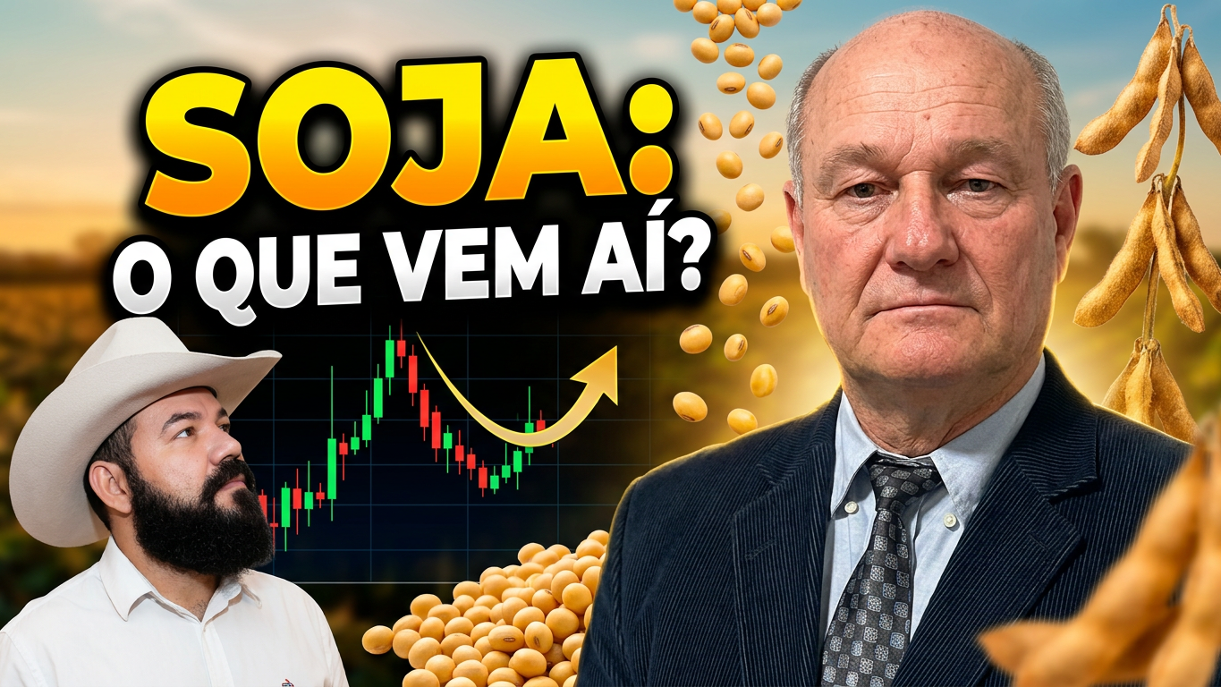 Preço da soja vai parar onde? Confira o cenário do milho e a surpresa na safra de sorgo!